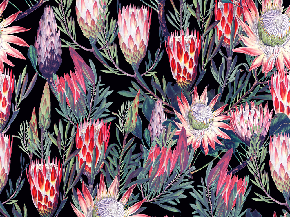 BOTANICA 8148