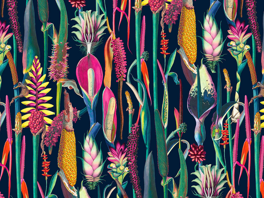 BOTANICA 8150