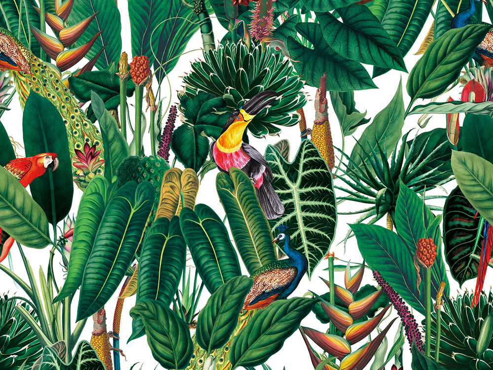 BOTANICA 8162