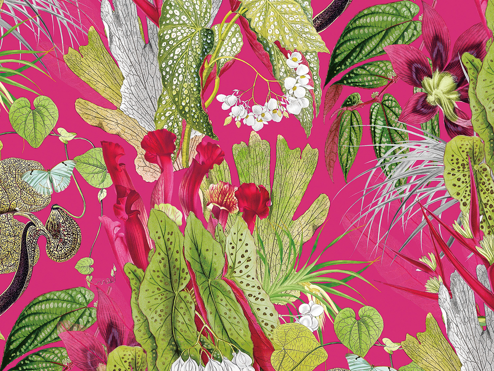 BOTANICA 8163