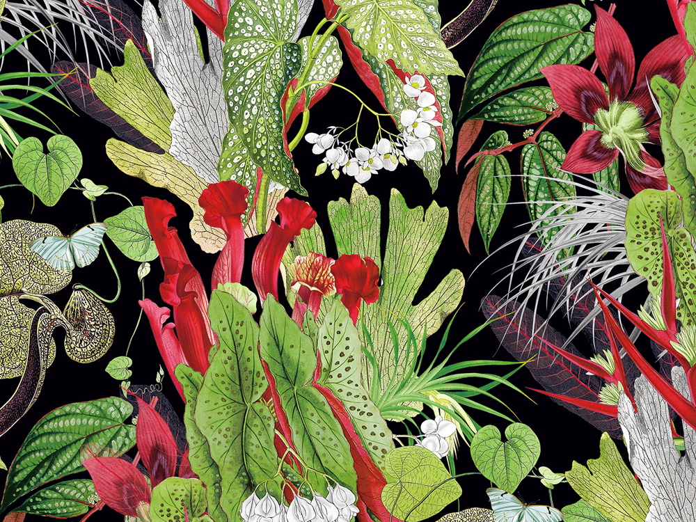 BOTANICA 8164