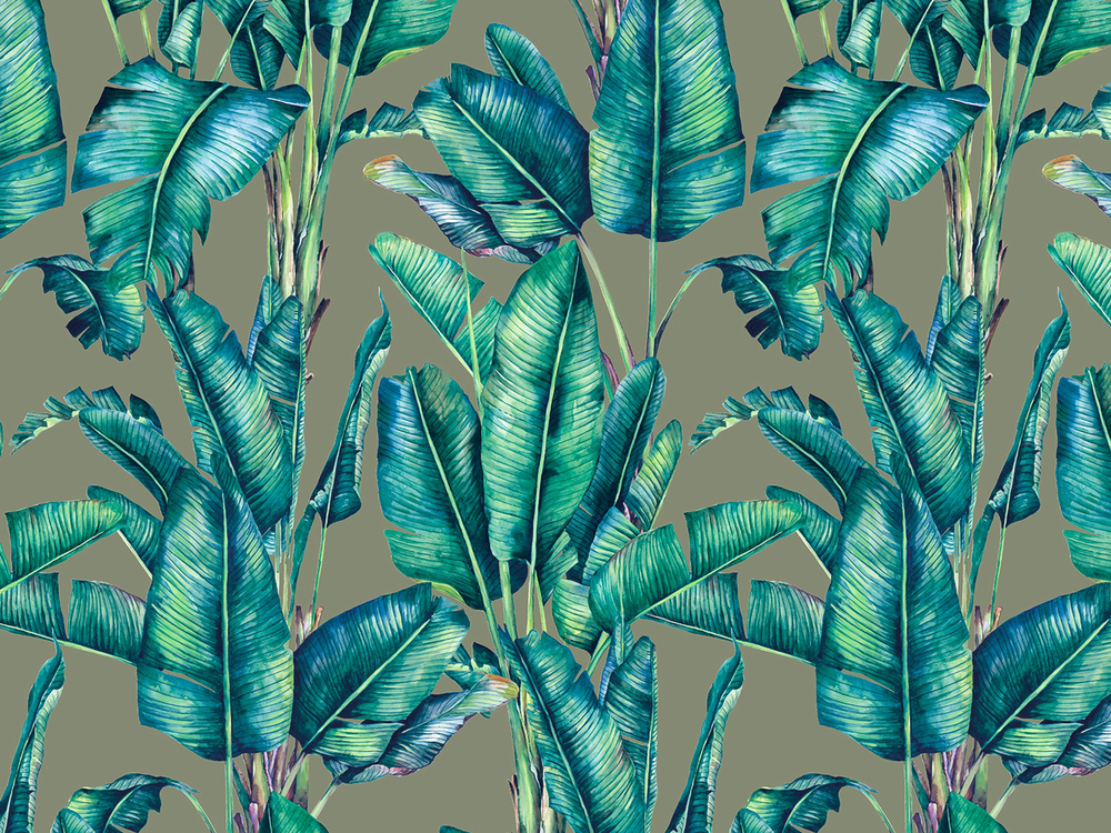 BOTANICA 8165