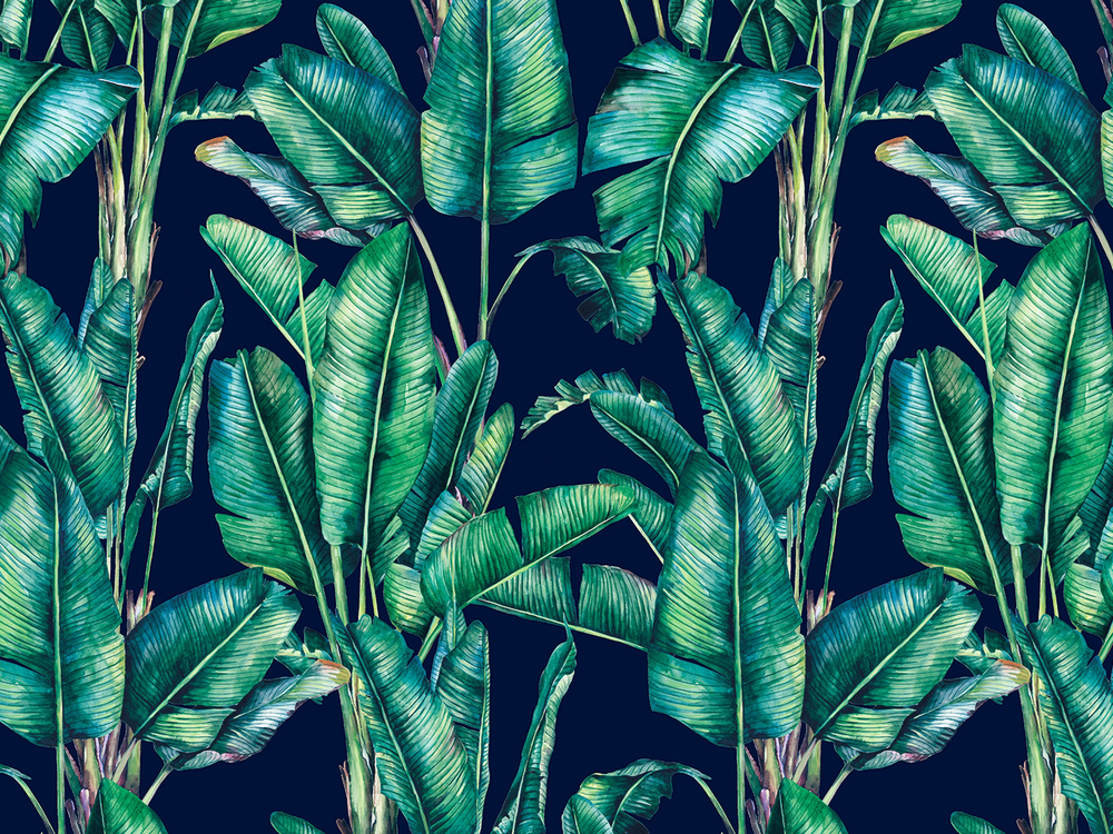 BOTANICA 8167