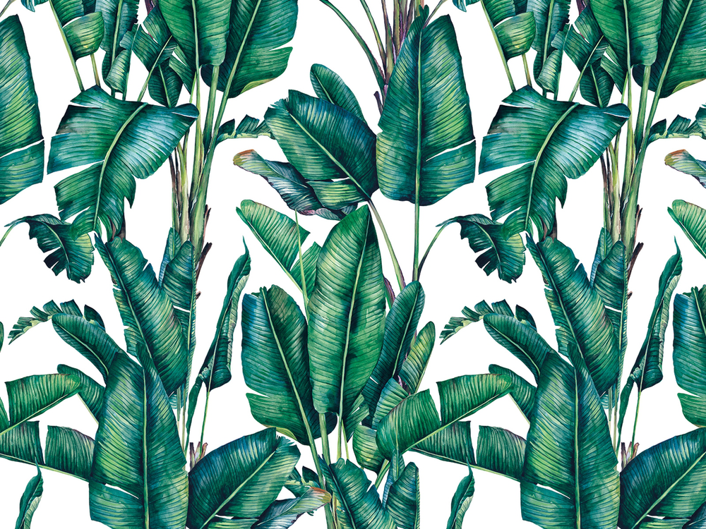 BOTANICA 8168