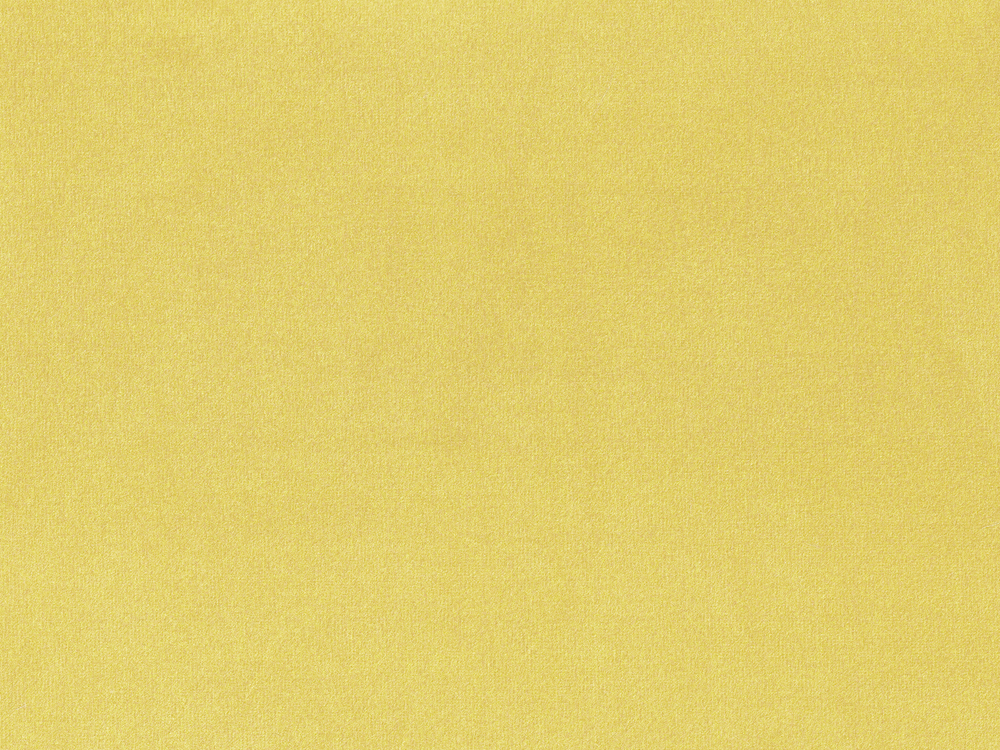 ESS4291
