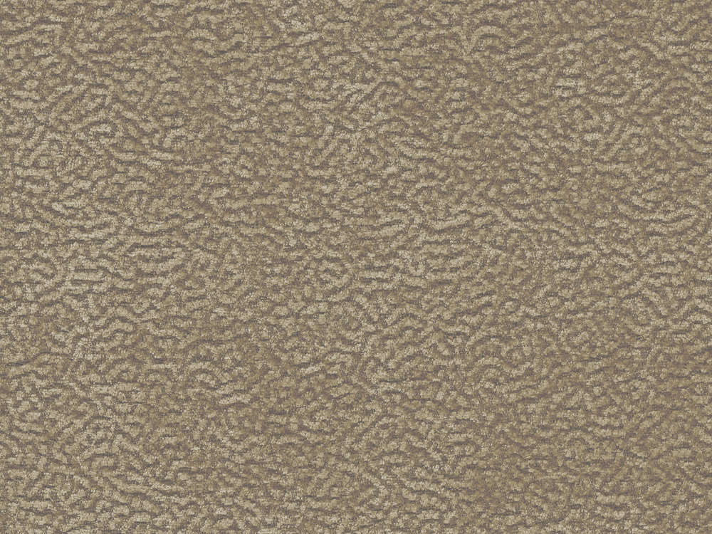 FON 2338