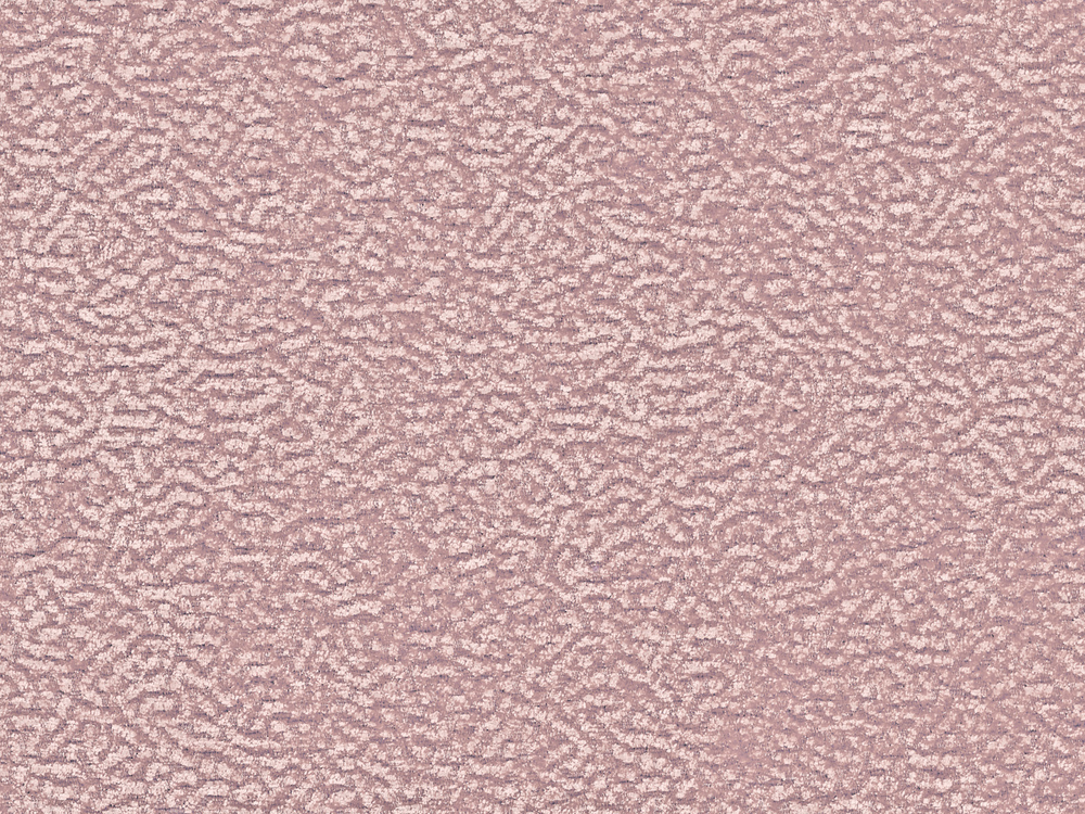 FON 2349