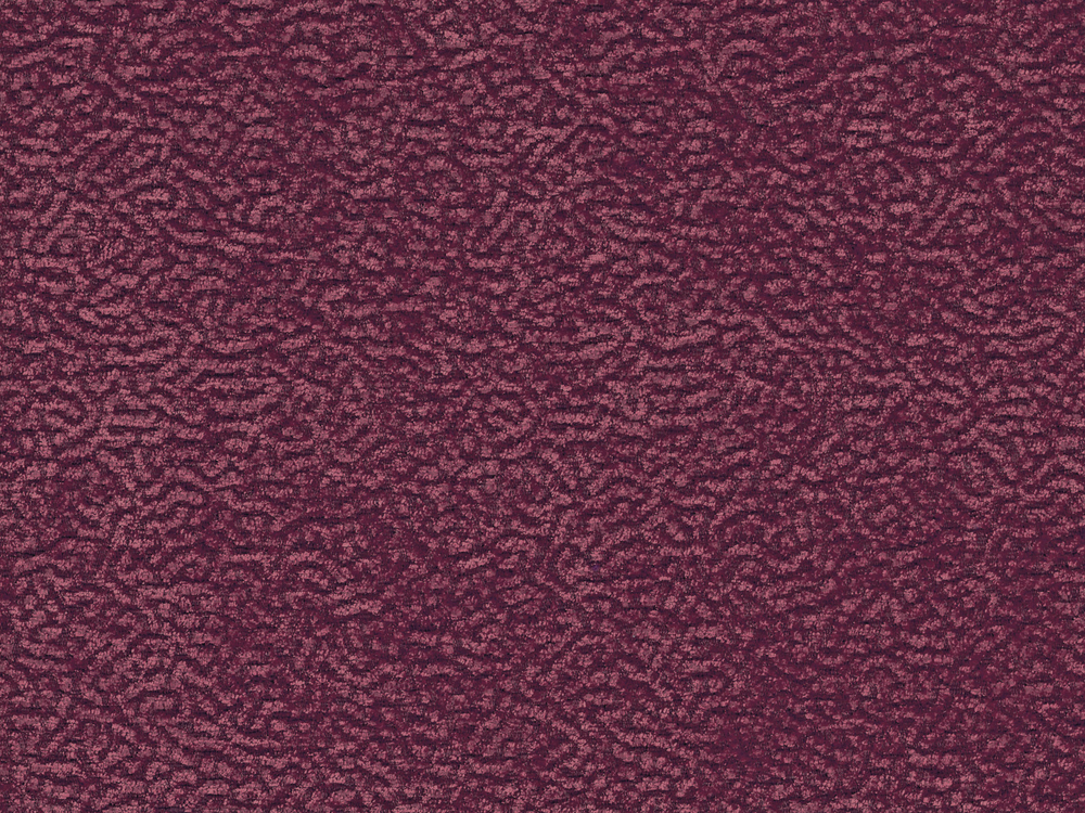 FON 2353