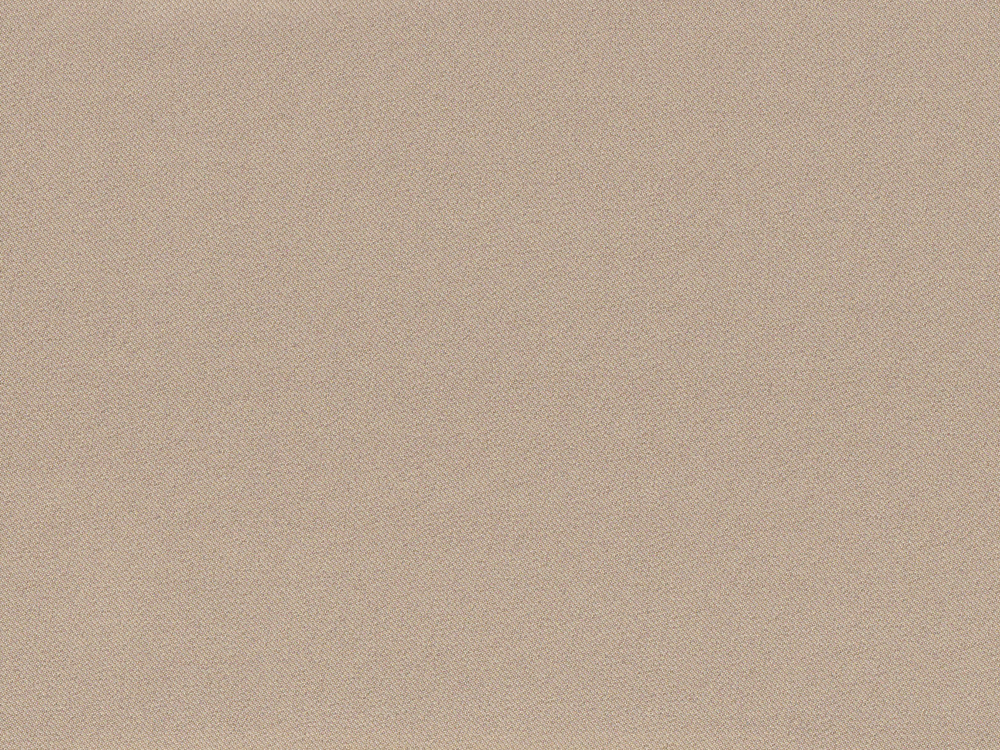 FRE4431