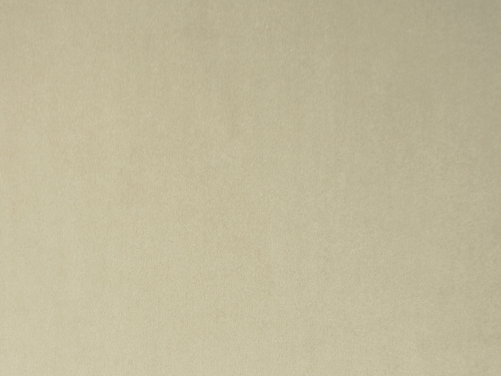 Soft Beige Colour Machine Washable Ultra Hard Wearing Flame Retardant Cotton Velvet Upholstery Fabric Maestro 3744 Modelli Fabrics