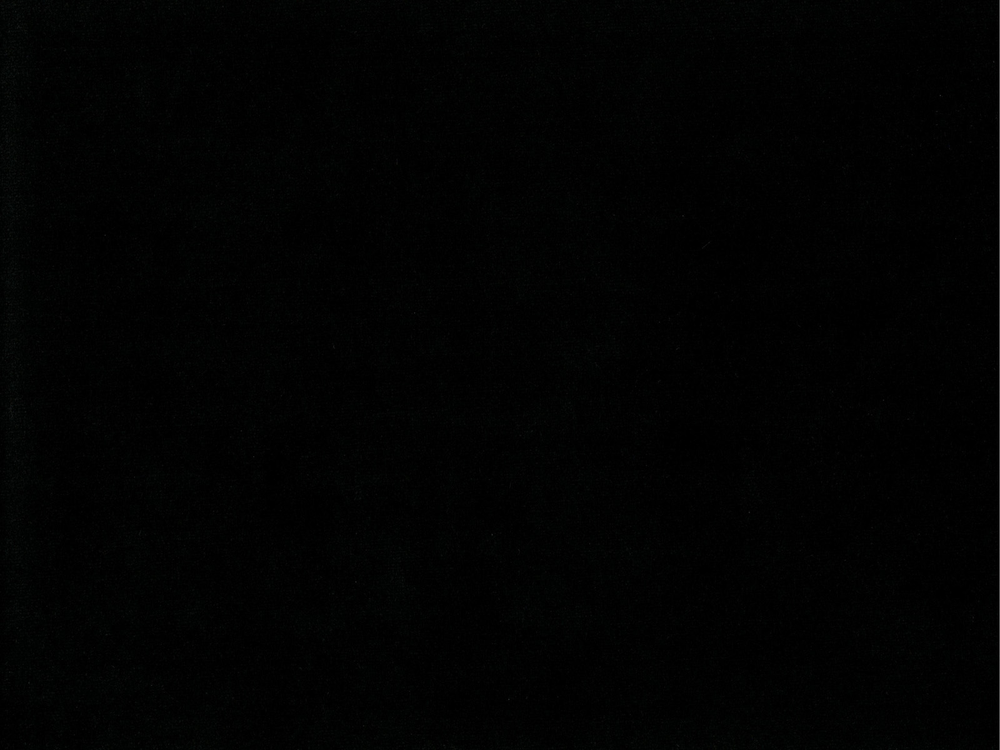 Jet Black Inexpensive Machine Washable Ultra Hard Wearing Flame Retardant Cotton Velvet Upholstery Fabric Maestro 3777 Modelli Fabrics