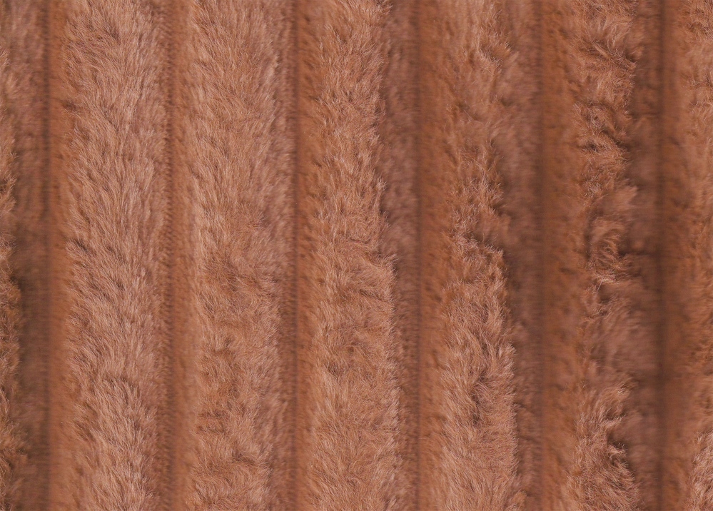 PEL4155
