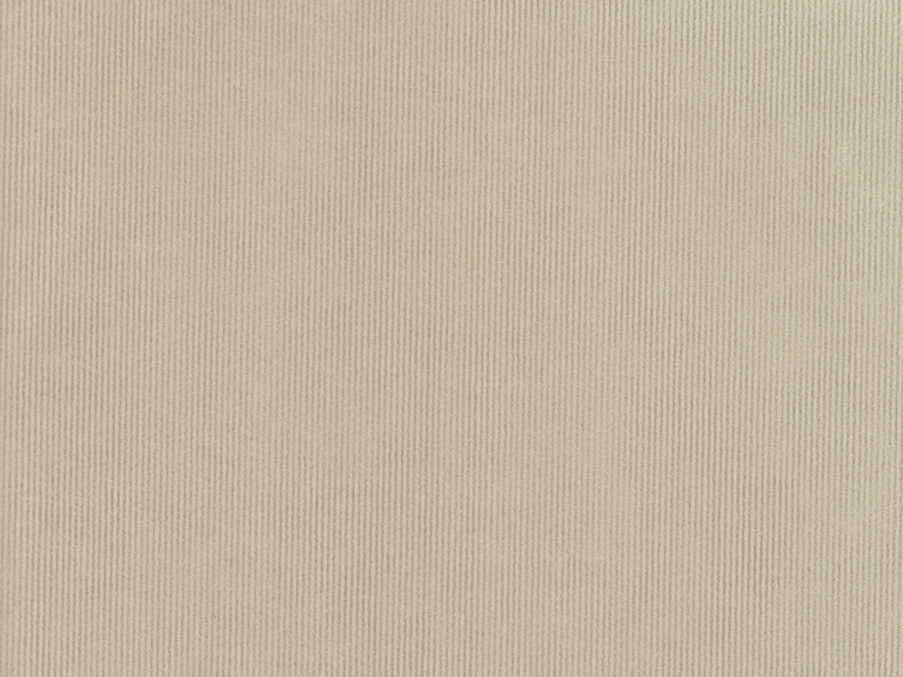 Cream Colour Machine Washable Hard Wearing Fire Retardant Soft Plush Plain Velvet Upholstery Fabric Positano 4324