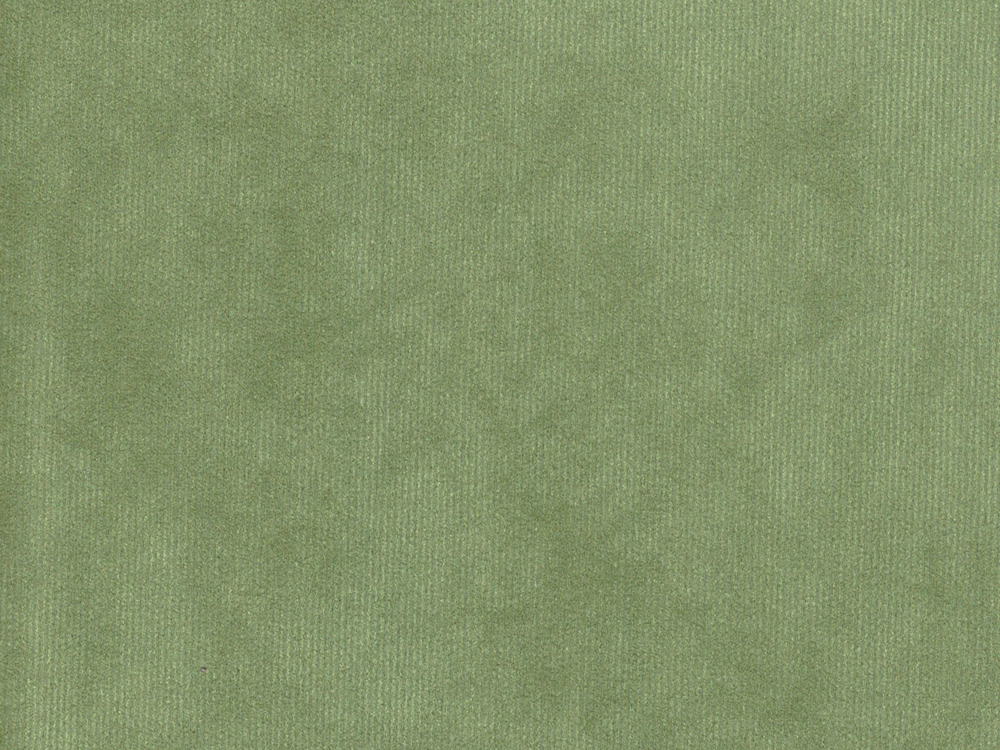 Moss Grass Green Colour Machine Washable Hard Wearing Fire Retardant Soft Plush Plain Velvet Upholstery Fabric Positano 4332