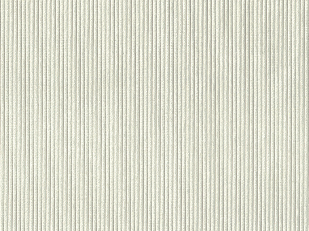 RIB2922