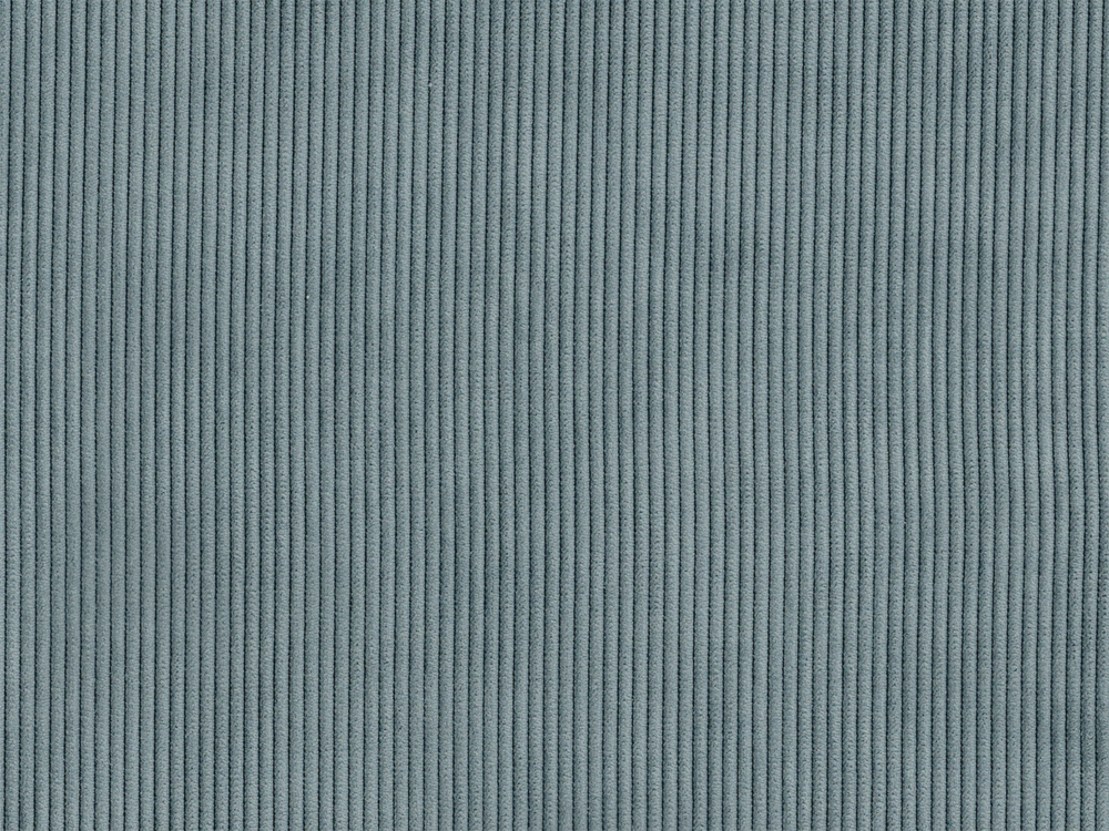 RIB2935