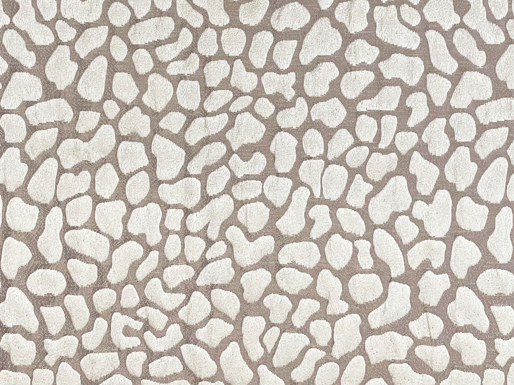 Safari 8411