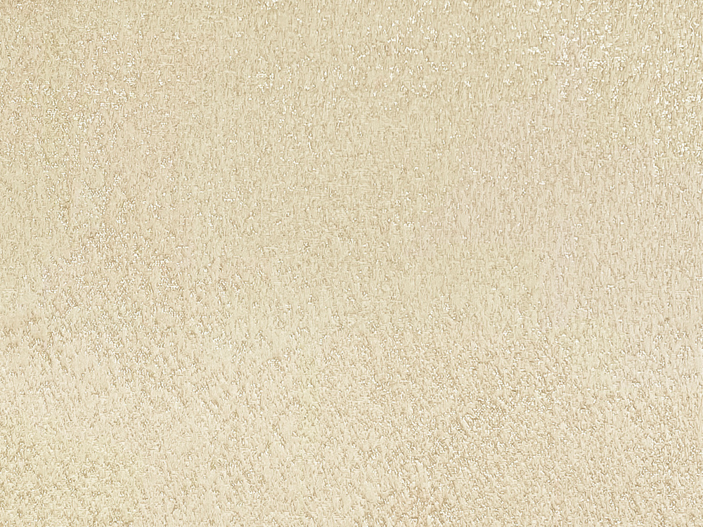 Safari 8424