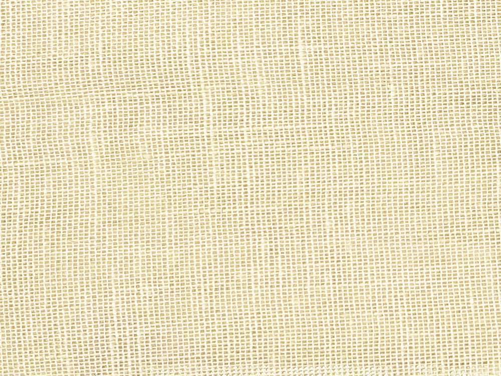 Zephyr 8364