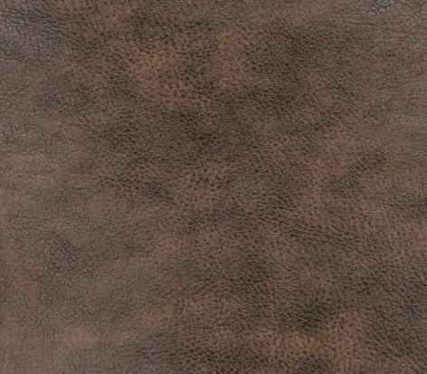 tobacco color leather Interior a motorcycle jacket is a wardrobe essential Choosing a Leather Color